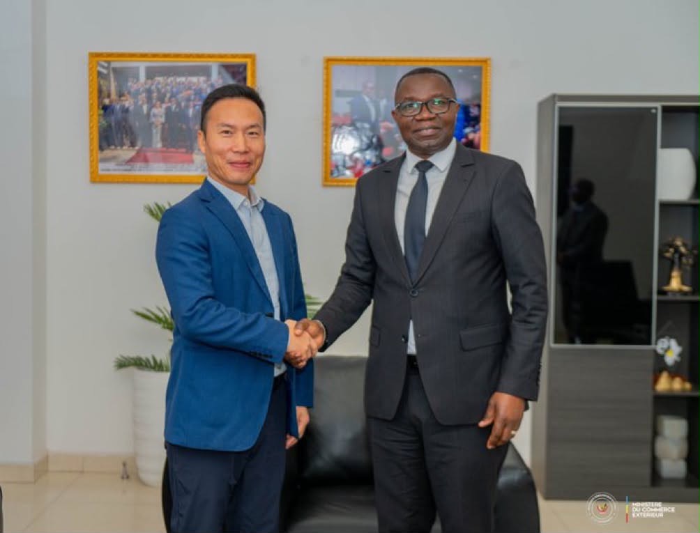 Manono et le lithium congolais